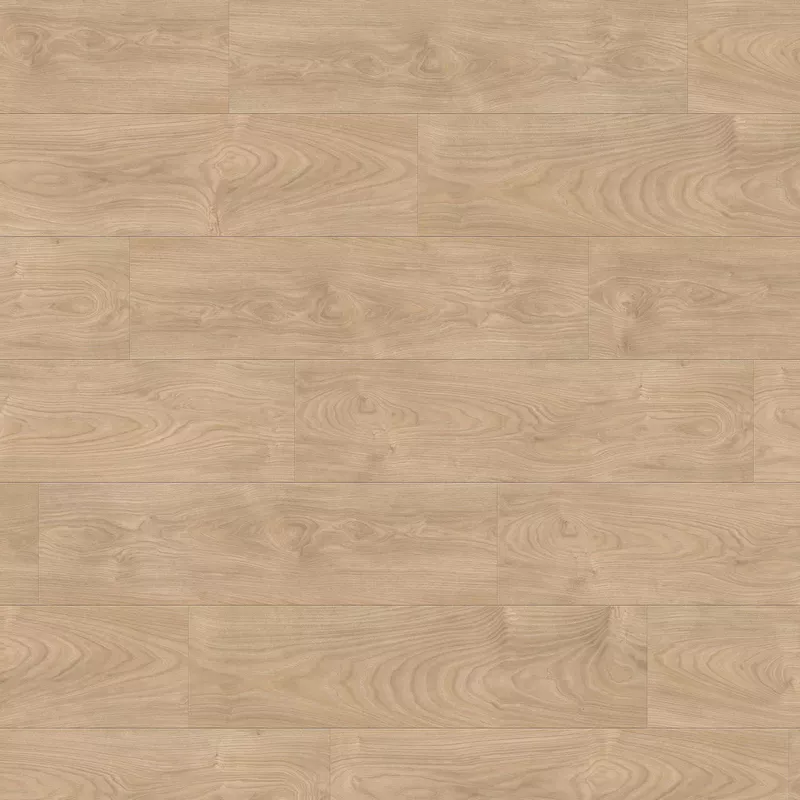 Клен Серебряный Варио 544717