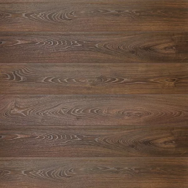 Magellan / Магеллан