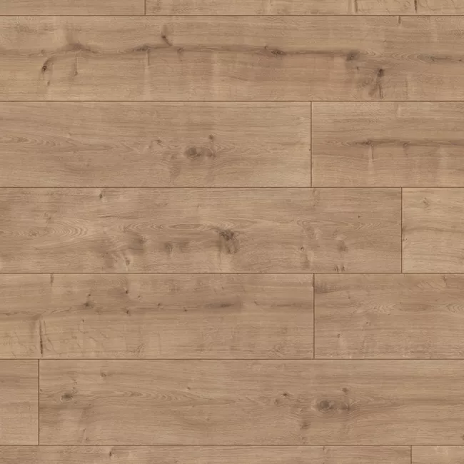 Дуб Канадский L1207-03467