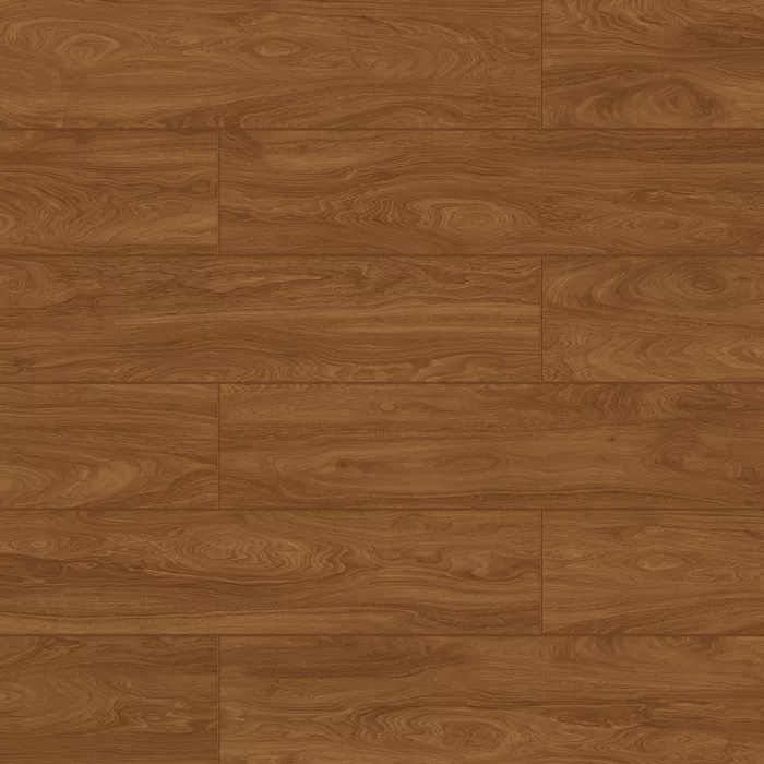 Дуб Филиос 719