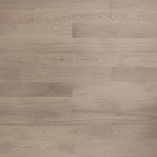 Дуб Story 138 Salvia