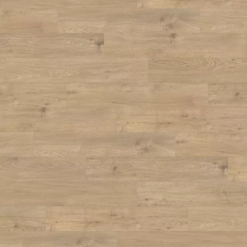 Дуб Сицилия Пуро 537376