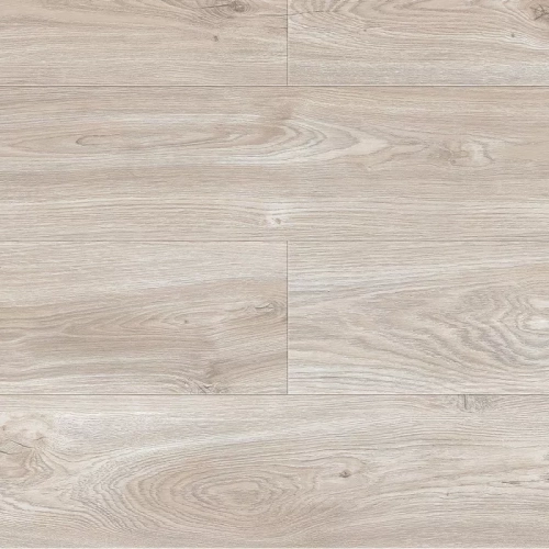 Дуб Муривай