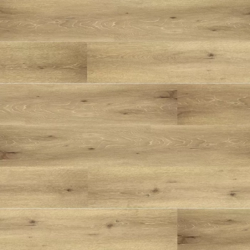 Дуб Полуденный 0004-5 MP