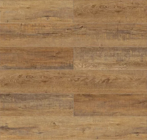 Дуб Робуста ZH-81141-1