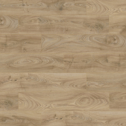 Дуб Вековой 1519 Дуб Вековой 1519