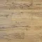 Дуб Кремовый AN DSG 904 - Интернет магазин «Napolich»