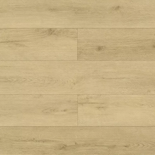 Фореста ECO 21-36 Фореста ECO 21-36