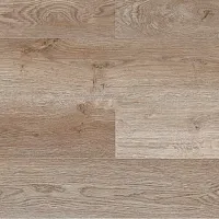 Дуб Стоктон