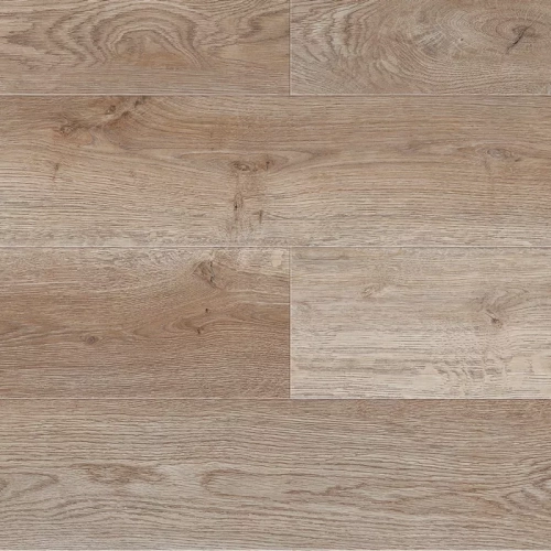 Дуб Стоктон