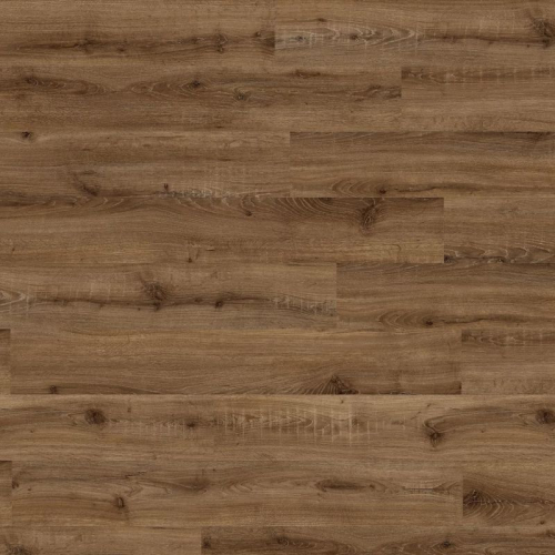 Oak European 04870 Oak European 04870