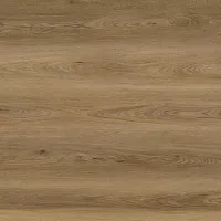 Дуб Рейн VI01-09 - Интернет магазин «Napolich»