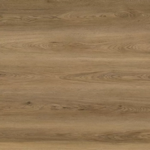 Дуб Рейн VI01-09