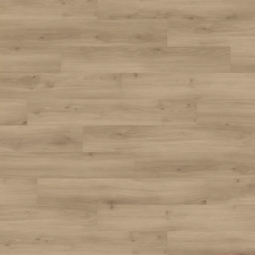 Дуб Эмилия Пуро 538691 Дуб Эмилия Пуро 538691