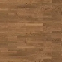 Дуб Дымчатый  540176 - Интернет магазин «Napolich»