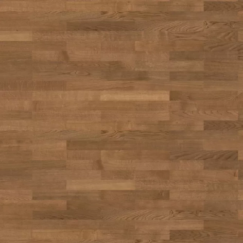 Дуб Дымчатый  540176