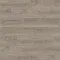 Дуб Флавия Серый 544702 - Интернет магазин «Napolich»