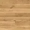 Oak Pure / Дуб Чистый Браш - Интернет магазин «Napolich»