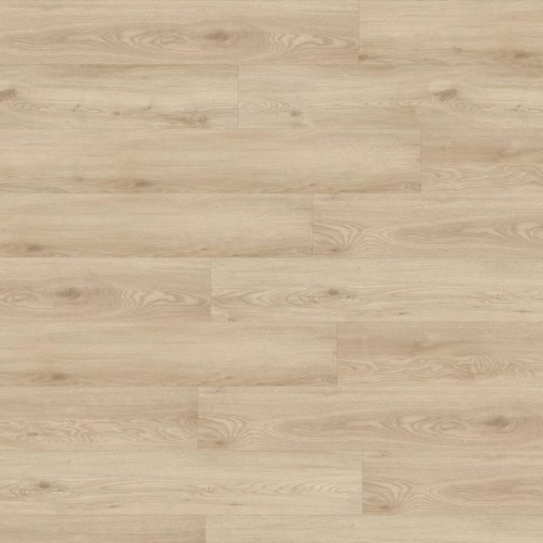 Oak Chapman 05321 Oak Chapman 05321