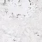 Iceberg White - Интернет магазин «Napolich»