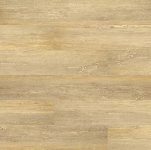 Дуб Яркий День 0061-7 MP