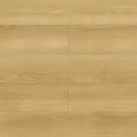 Дуб Лузон
