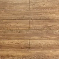 Дуб Терра 1873 - Интернет магазин «Napolich»