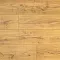 Дуб Голд AN DSG 905 - Интернет магазин «Napolich»