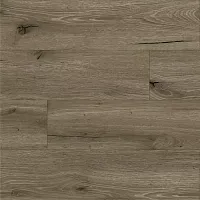 Дуб Арагонский 50-1297-1 - Интернет магазин «Napolich»