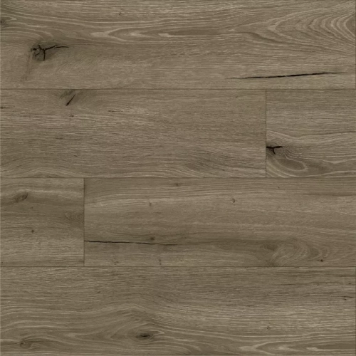 Дуб Арагонский 50-1297-1