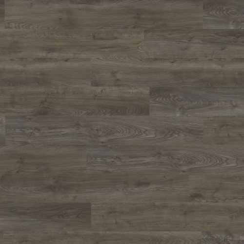 Oak American 04880