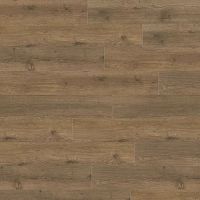 Oak Major 05855 - Интернет магазин «Napolich»