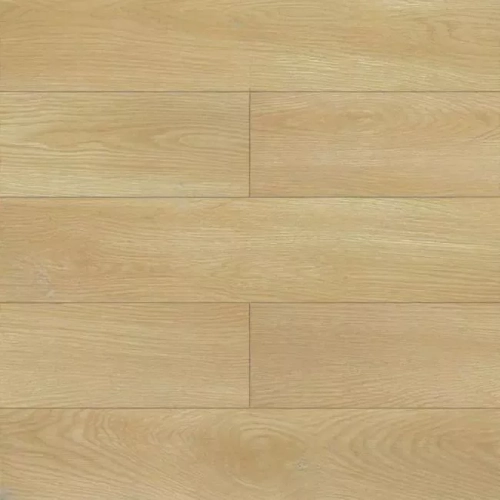 Дуб Тасмания Дуб Тасмания