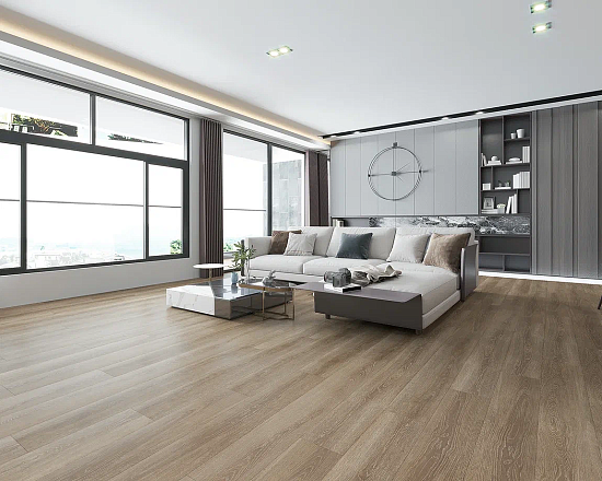 Spc Decorifica