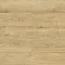 Oak Habanero D4523 - Интернет магазин «Napolich»