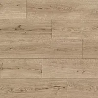 Дуб Субтропический IM 8603 - Интернет магазин «Napolich»