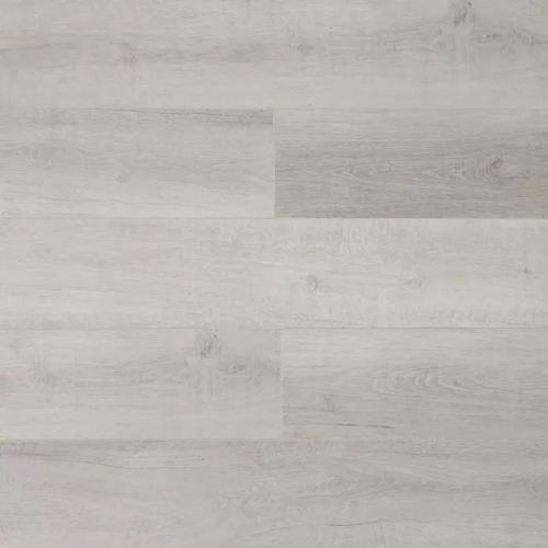 Дуб Албани U1961 Дуб Албани U1961