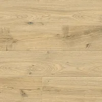 Дуб Риман 8335 - Интернет магазин «Napolich»