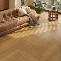 Дуб Кювье NT-119 - Интернет магазин «Napolich»