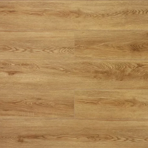 Дуб Скальный Дуб Скальный