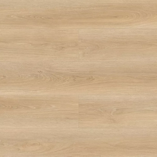 Eli 1006-9 Eli 1006-9