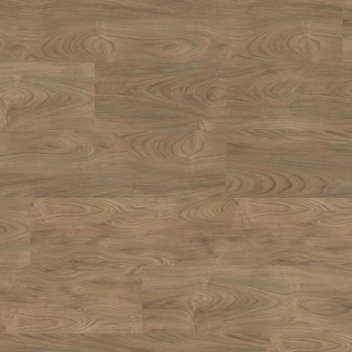 Вяз Варио 544744 Вяз Варио 544744