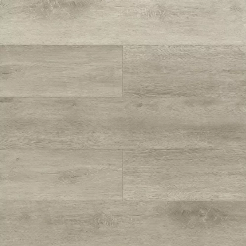 Nuovo 1004-1901