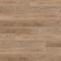 Дуб Корсар 5610 - Интернет магазин «Napolich»