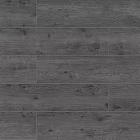 Дуб Пантеон 2502 - Интернет магазин «Napolich»