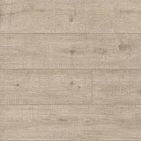 Oak Ceniza S179721 - Интернет магазин «Napolich»