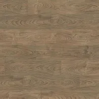 Вяз Варио 544720 - Интернет магазин «Napolich»