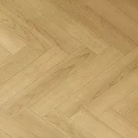 Дуб Лузон