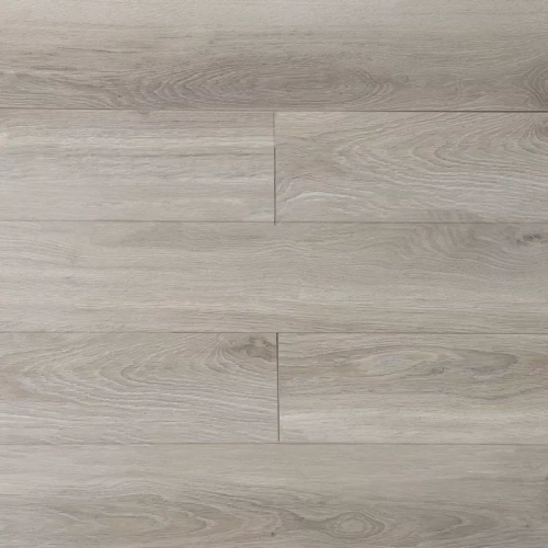 Дуб Колорадо 16142