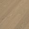 Дуб Айвори 629 - Интернет магазин «Napolich»